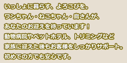 いっしょに暮らす、よろこびを。ワンちゃん・ねこちゃん・鳥さんが、あなたのお迎えを待っています！動物病院やペットホテル、トリミングなど家族に迎えた後もお客様をしっかりサポート。初めての方でも安心です。
