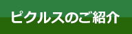 ピクルスのご紹介